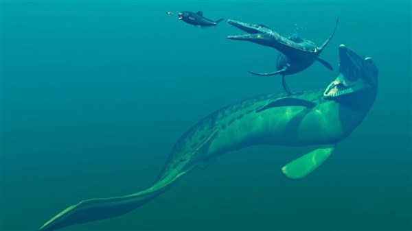 Hình nền : phim, dưới nước, Thế kỷ Jurassic, cá voi lưng gù, sinh học,  2880x1800 px, Hình nền máy tính, sinh vật biển, Động vật có vú biển, Cá voi  cá
