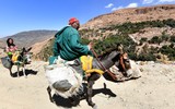 Ảnh những vị cứu tinh sau động đất ở Maroc 