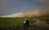 Toàn cảnh cháy rừng thiêu rụi vùng đất ngập nước lớn nhất thế giới