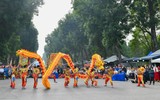 Mãn nhãn múa Rồng tại Festival Thanh niên quốc tế