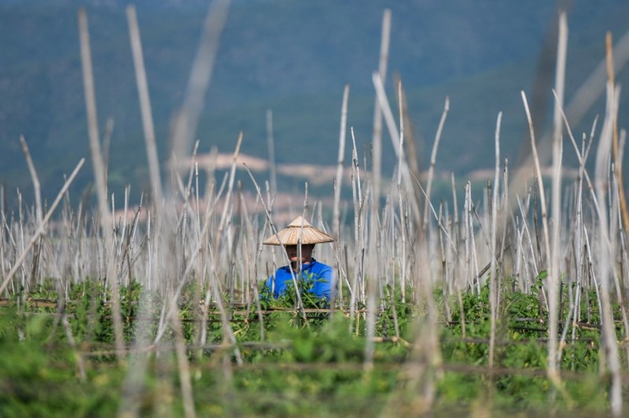 Hình ảnh khu bảo tồn UNESCO nổi tiếng ở Myanmar bị ‘nghẹt thở’ 