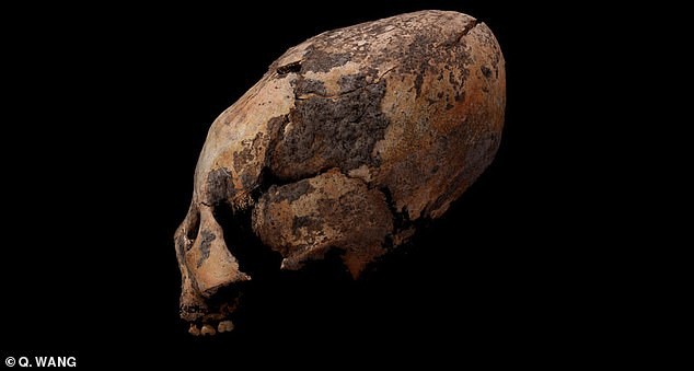 Tìm thấy hộp sọ “ngoài hành tinh” trong ngôi mộ 12.000 năm ở Trung Quốc