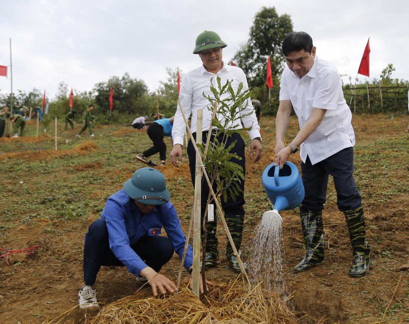 Ông Trần Quốc Cường - Bí thư Tỉnh ủy Điện Biên (ngoài cùng bên phải) tham gia trồng cây Mắc ca tại ngày hội.