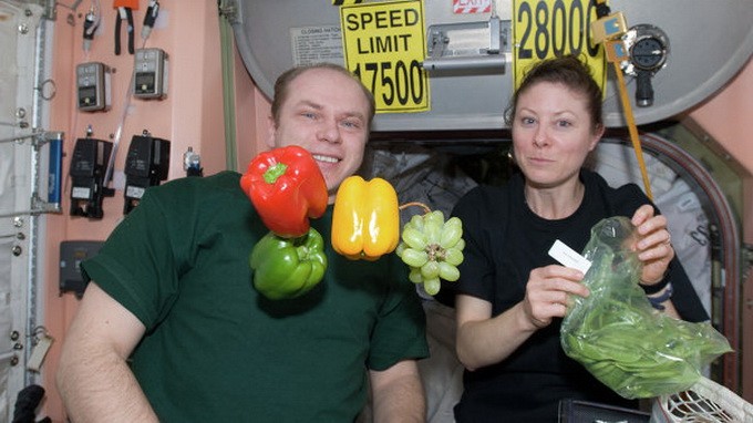 Các loại thực vật được trồng trên ISS được xác nhận “đảm bảo an toàn cho sức khỏe khi ăn” - Ảnh: NASA