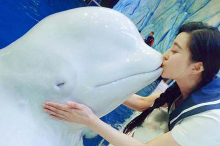 Phạm Băng Băng hôn cá voi trắng khiến các nhà bảo vệ động vật nổi giận