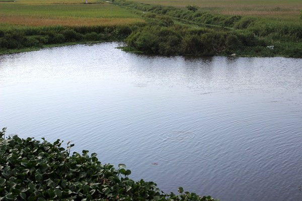 Đoạn sông Cày, nơi 2 em học sinh mò ốc bị đuối nước.