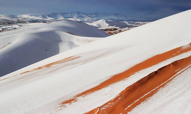 Tuyết rơi trắng xóa trên sa mạc Sahara