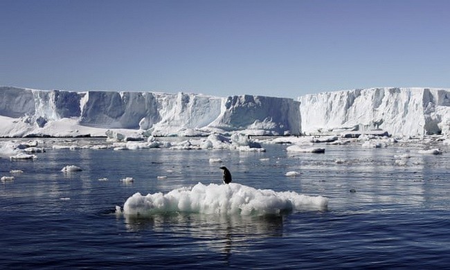 Các tảng băng ở Bắc cực sẽ biến mất trong vài năm nữa
