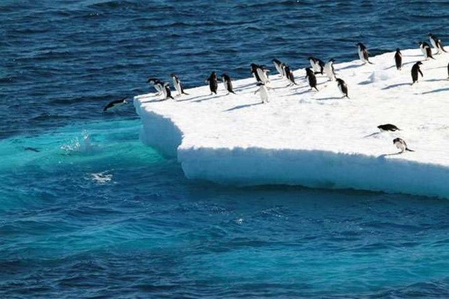 Trái Đất nóng lên khiến tuyết rơi kỷ lục ở Nam Cực