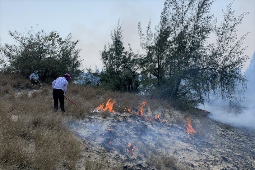 Đám cháy rừng ven biển tại xã Hải Ninh, tỉnh Quảng Bình.