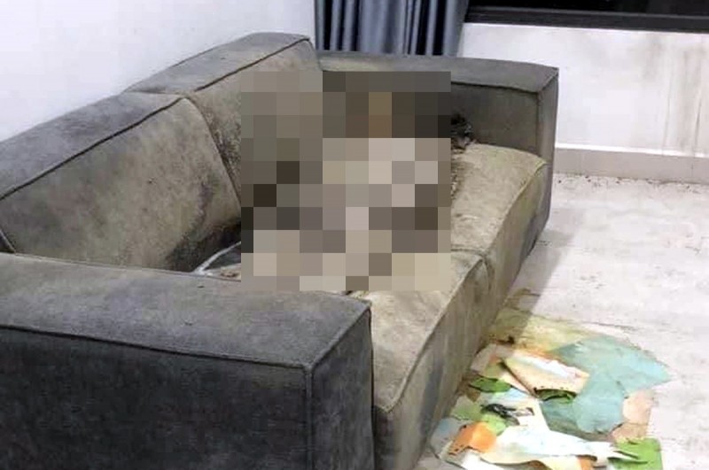Hình ảnh nơi phát hiện thi thể cô gái trên ghế sofa.