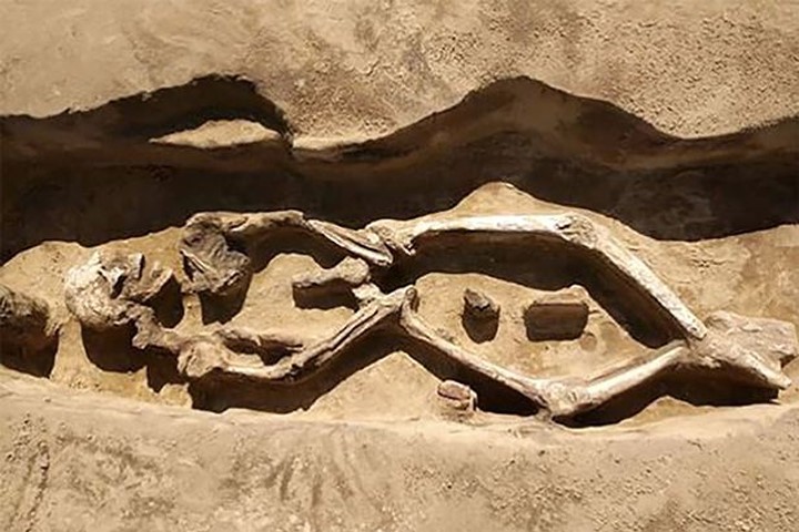 Bí ẩn bộ xương 1300 tuổi kỳ lạ chưa từng thấy