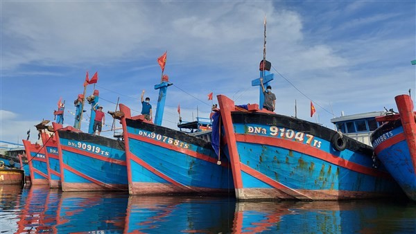 Ba cha con ngư dân Nguyễn Văn Hoàng trên 3 tàu cá có công suất “khủng” chuyên bám ngư trường Hoàng Sa.