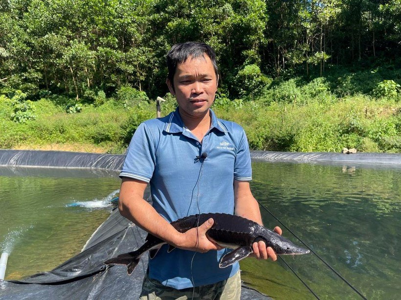 Anh Trần Văn Mạ vui mừng, khoe con cá tầm nặng gần 3 kg sau hơn một năm nuôi.