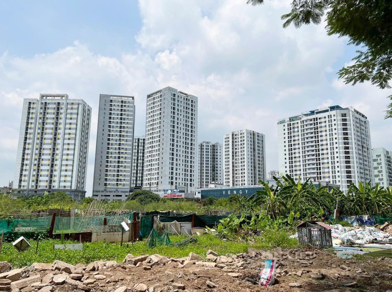 Một ô đất quy hoạch xây trường trên phường Hoàng Liệt nhưng không được triển khai, cỏ mọc um tùm.