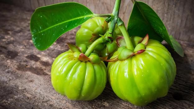 Thành phần Garcinia Cambogia có trong một loại trái cây nhiệt đới, họ măng cụt, có hình dạng giống quả bí ngô nhỏ. 