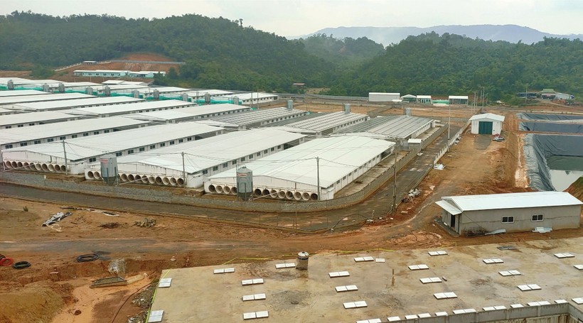 Trang trại lợn của Công ty Cổ phần Đầu tư nông nghiệp Agri-Vina tại xã Tân Phúc, huyện Lang Chánh (Thanh Hóa).