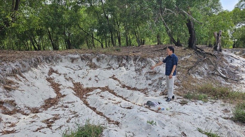 Tại địa bàn thôn Linh An, xã Triệu Trạch, các đối tượng lợi dụng các cồn cát ven đường để lấy đất chở đi nơi khác.