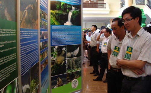 Góp phần bảo tồn và gìn giữ vẻ đẹp của rừng Việt Nam