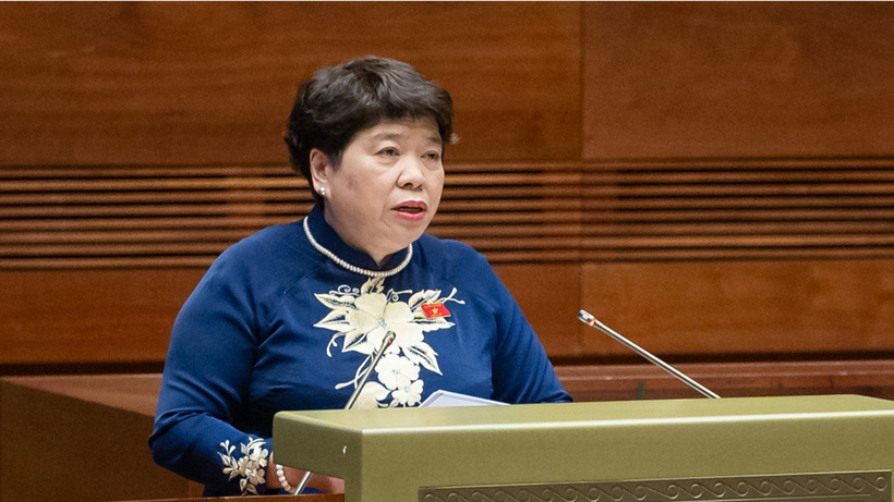 Bà Nguyễn Thúy Anh, Chủ nhiệm Ủy ban Xã hội của Quốc hội.