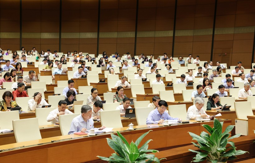 Quốc hội thảo luận ở hội trường về Dự án Luật Phòng, chống mua bán người (sửa đổi).