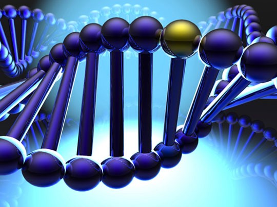 Cấu trúc gen người