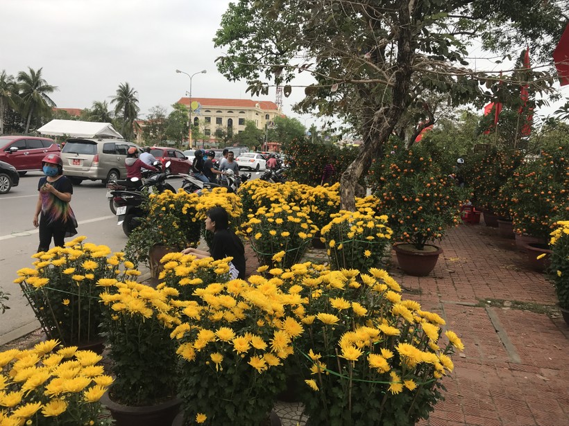 Quảng Bình: Nhộn nhịp người bán kẻ mua chợ hoa chiều 30 Tết
