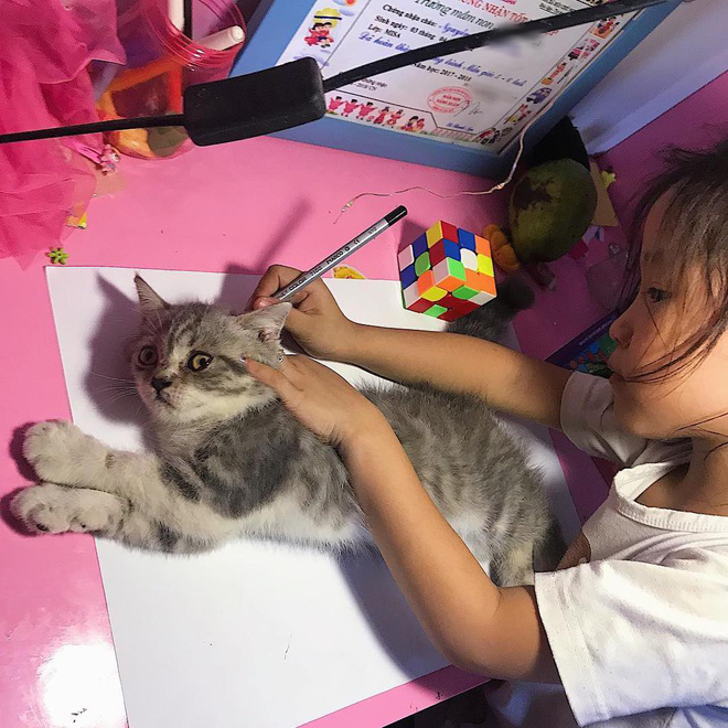  Được cô giáo giao bài tập vẽ con mèo, bé gái bê luôn boss nhà ra “photo” cho nhanh