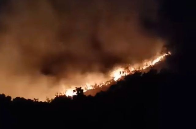 Đà Nẵng: Cháy lớn trên bán đảo Sơn Trà