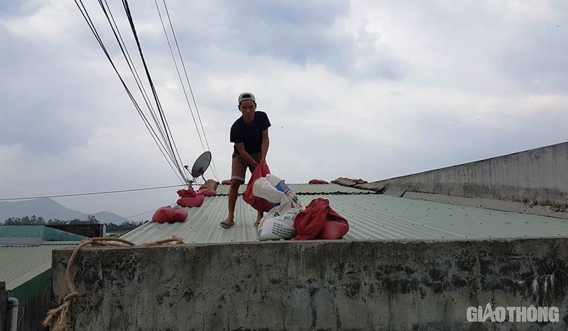 Người dân Bình Định chằng chống nhà cửa trước thông tin bão só 6 đổ bộ vào địa phương này