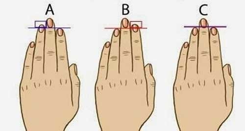 So sánh độ dài của ngón trỏ và ngón áp út có thể tiết lộ một số điều về cuộc sống của bạn.